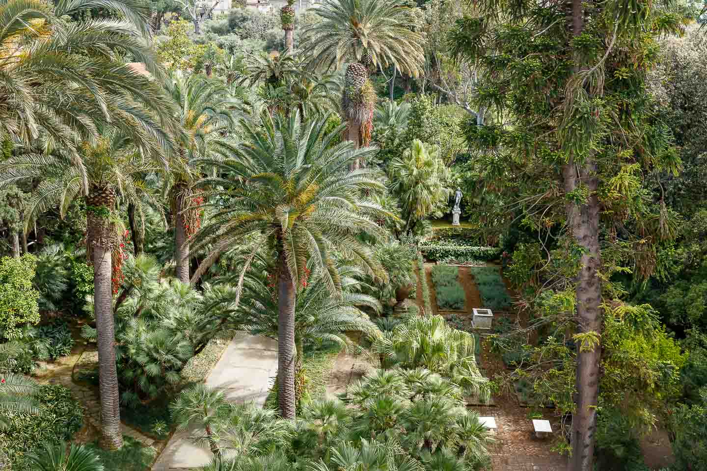 Villa Astor Amalfi coast Sorrento house exclusive rental expansive sumptouous landscape botanical garden thousand plant species trees exotic flowers 35