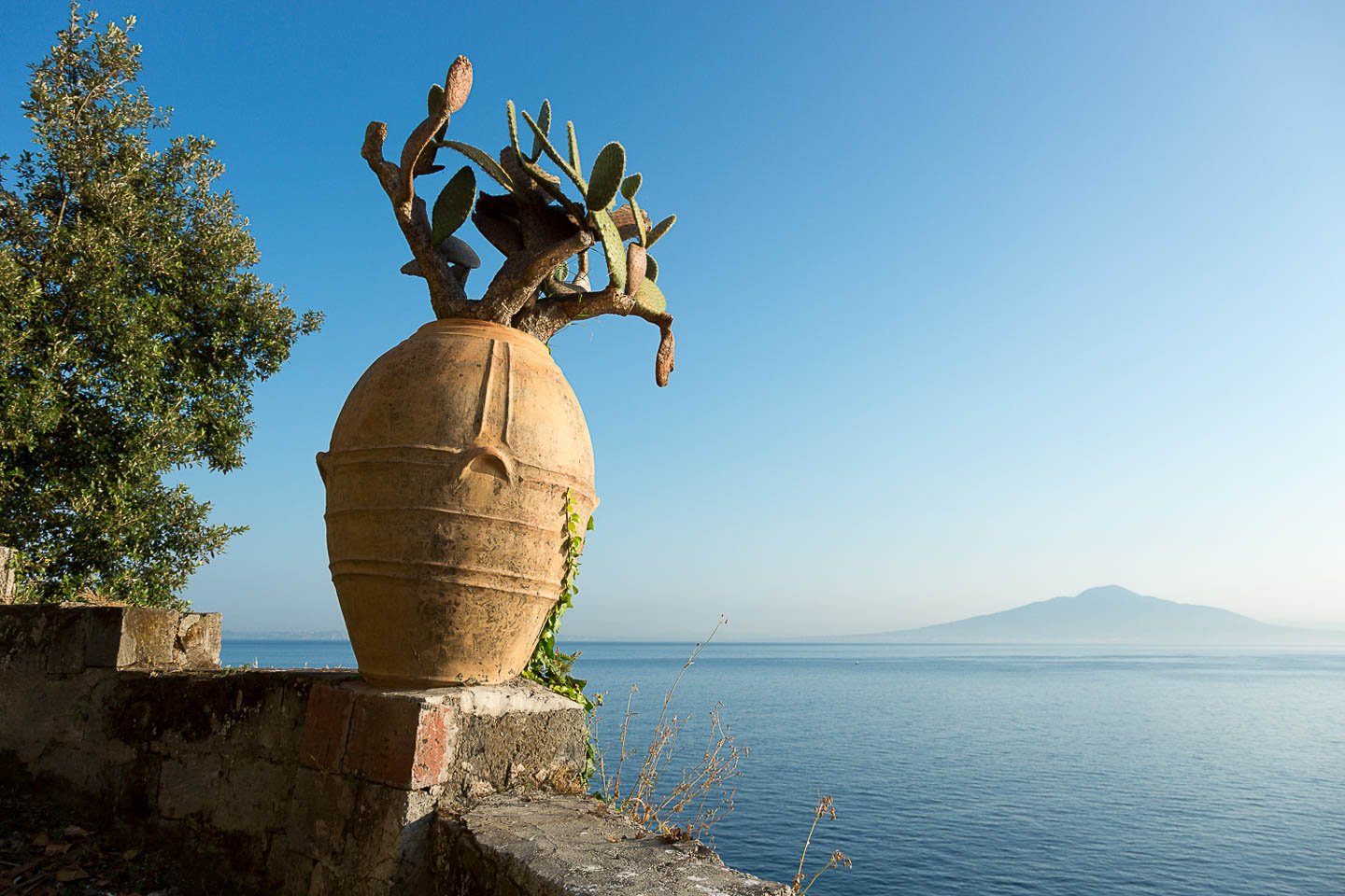 Villa Astor private home available rental mount Vesuvius sea view from garden Sorrento Amalfi Coast 34 1